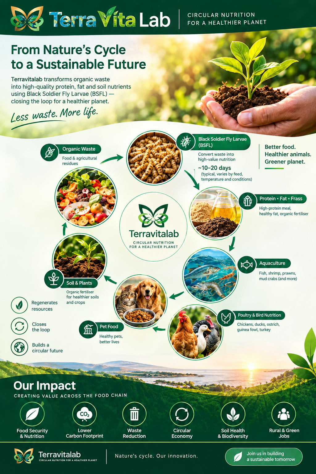 Terra Vita Lab circular nutrition infographic showing organic waste, Black Soldier Fly Larvae, protein, fat, frass, animal nutrition and soil regeneration.